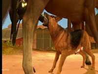 Dog gives blowjob to a giant horse cock